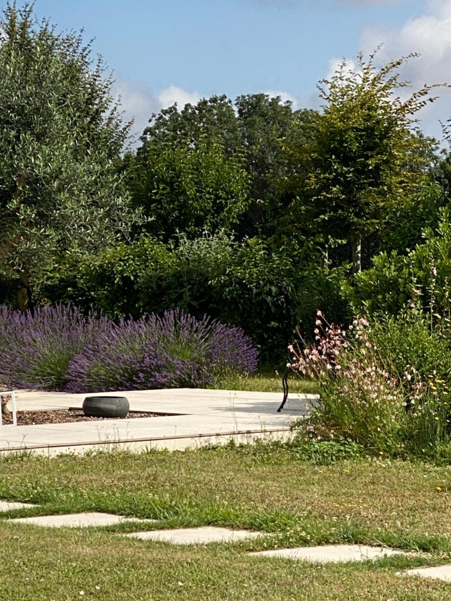 La Chaumeauniere Bed & Breakfast Aigrefeuille-d'Aunis ภายนอก รูปภาพ